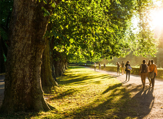 a group nature walk 