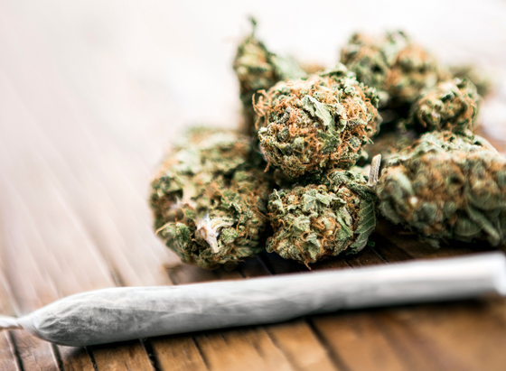 cannabis-addiction-joint